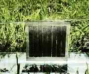 Das Photosynthese-System der Jülicher Solarzellenforscher ist kompakt und in sich geschlossen. Copyright: Forschungszentrum Jülich Das Konzept ist für jede Dünnschicht-Photovoltaik-Technologie und verschiedene Elektrolysearten anwendbar. Copyright: Forschungszentrum Jülich