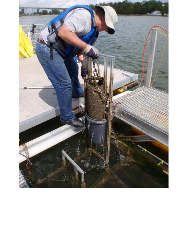 Typischerweise verbleibt der Phosphat-Analysator HydroCycle PO4 drei Monate im Gewässer und kommt in dieser Zeit ohne jegliche Wartung aus. (Bild: OTT Hydromet GmbH) Typischerweise verbleibt der Phosphat-Analysator HydroCycle PO4 drei Monate im Gewässer und kommt in dieser Zeit ohne jegliche Wartung aus. (Bild: OTT Hydromet GmbH)