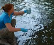 Umweltbiologin Kristy Deiner entnimmt Wasser, um die Umwelt-DNA extrahieren zu können. (Bild UZH)
