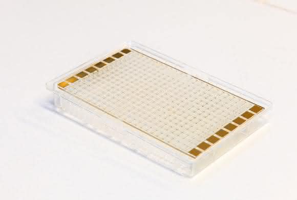 Biochip, mit dem Prof. Dr. Andrea Robitzki u.a. Nervenzellen untersucht (Foto: Swen Reichhold/Universität Leipzig)
