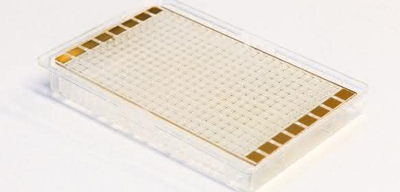 Biochip, mit dem Prof. Dr. Andrea Robitzki u.a. Nervenzellen untersucht (Foto: Swen Reichhold/Universität Leipzig)