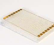 Biochip, mit dem Prof. Dr. Andrea Robitzki u.a. Nervenzellen untersucht (Foto: Swen Reichhold/Universität Leipzig)