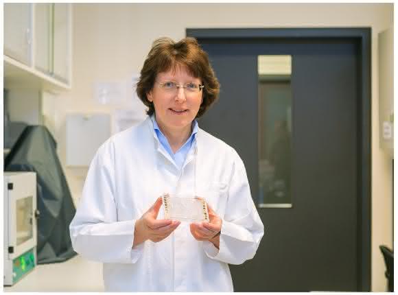 Prof. Dr. Andrea Robitzki untersucht Nervenzellen auf Biochips (Foto: Swen Reichhold/Universität Leipzig)