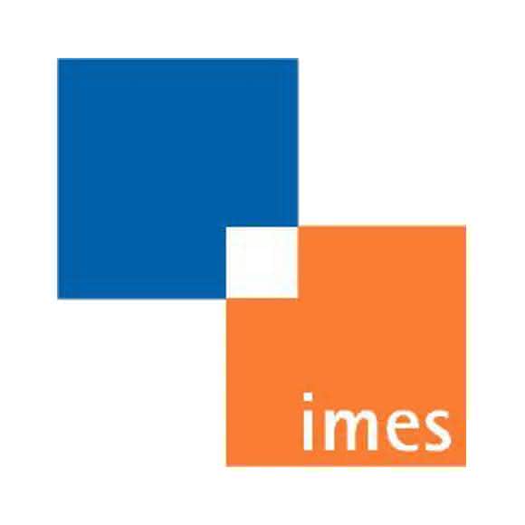 Institut für Mechatronische Systeme