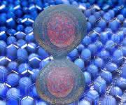 Proteomics: Paradoxical TGFβ andTherapeutic Strategies