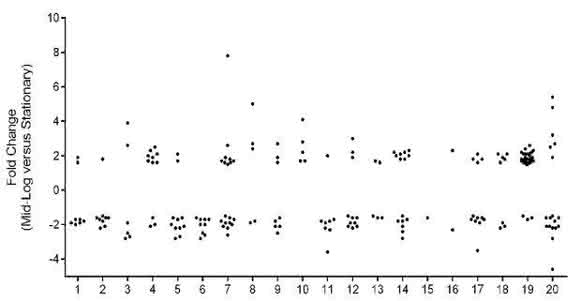 Proteome Dynamics of the Specialist: Oxalate Degrader Oxalobacter formigenes