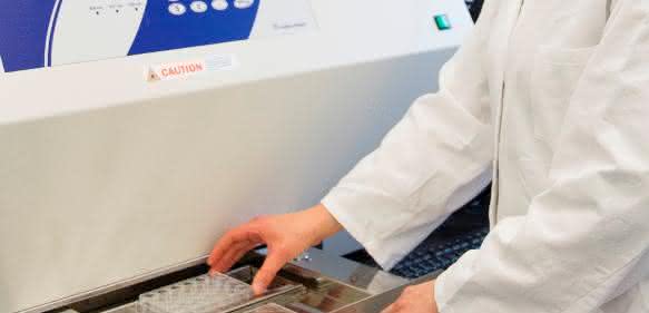 In der UV-Bestrahlungseinheit bestrahlen Fraunhofer-Forscher das Hautmodell mit einer definierten, nicht toxischen UV-Dosis. © Foto Fraunhofer IGB
