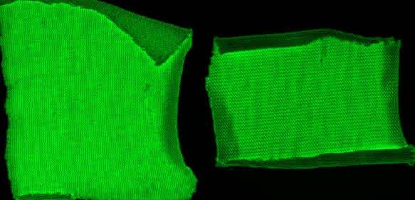 Machbarkeitsstudie – Textilien auf Cellulosebasis wurden mit einem grün-fluoreszierenden Markerprotein + Cellulose-Anker ausgerüstet. Baumwolle (links), Viskose (mitte), Negativkontrolle = grün-fluoreszierendes Protein ohne Cellulose-Anker (rechts). (© Foto Hohenstein Institute)