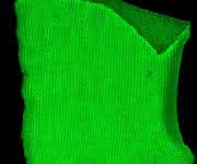 Machbarkeitsstudie – Textilien auf Cellulosebasis wurden mit einem grün-fluoreszierenden Markerprotein + Cellulose-Anker ausgerüstet. Baumwolle (links), Viskose (mitte), Negativkontrolle = grün-fluoreszierendes Protein ohne Cellulose-Anker (rechts). (© Foto Hohenstein Institute)
