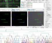 Software zur Einzelzellanalyse Software zur Einzelzellanalyse
