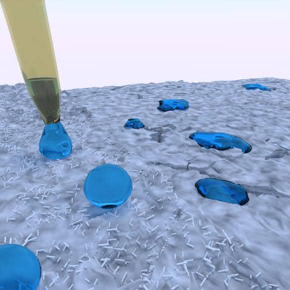 Mörtel mit Bakterienfilm-Beimischung: Wasserdicht dank Biofilm