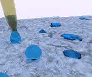 Mörtel mit Bakterienfilm-Beimischung: Wasserdicht dank Biofilm Mörtel mit Bakterienfilm-Beimischung: Wasserdicht dank Biofilm