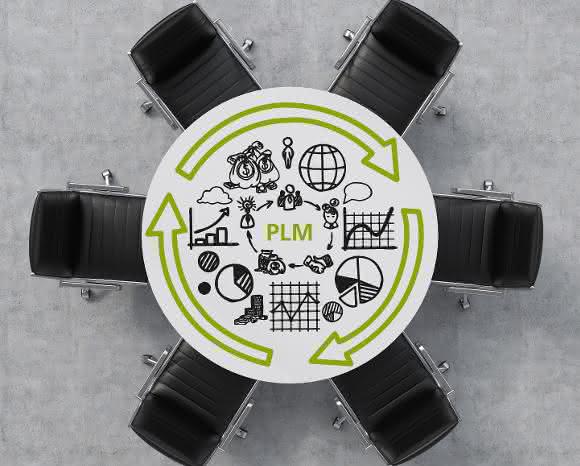 PLM Professionals