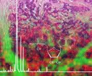 Adenosinmonophosphat Adenosinmonophosphat