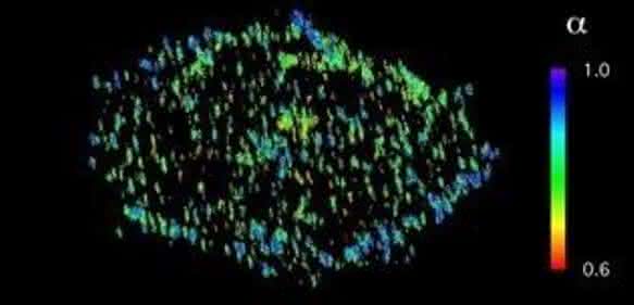 Fluoreszenzmikroskopie-Bild Fluoreszenzmikroskopie-Bild