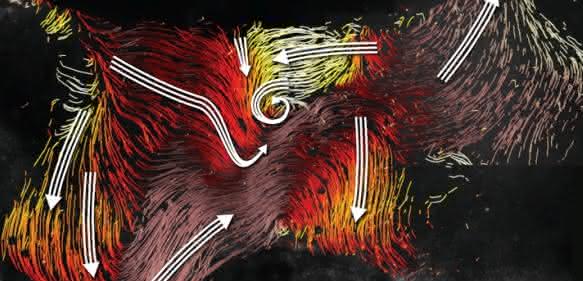 Flimmerhärchen: Strömungskarte im dritten Ventrikel des Maushirns mit den Strömen entlang der Ventrikelwand (farbige Linien) und den Hauptstromrichtungen (weiße Pfeile) in einzelnen Bereichen. Strömungskarte im dritten Ventrikel des Maushirns mit den Strömen entlang der Ventrikelwand (farbige Linien) und den Hauptstromrichtungen (weiße Pfeile) in einzelnen Bereichen.