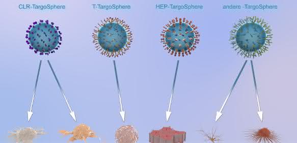 Verschiedene Liganden-Varianten der TargoSpheres für bestimmte Zelltypen. (Bild: Rodos Biotarget GmbH)