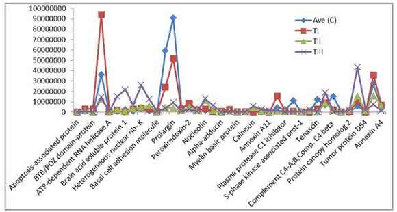 Chart of the expression levels