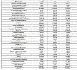 Selected protein expressions