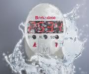 Barksdale Niveauschalter BLS3000