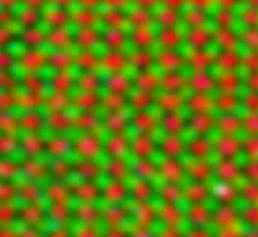 Mit Hilfe der EELS-Elektronenspektroskopie lassen sich im Rasterelektronenmikroskop die einzelnen Atome in der Heterostruktur kartieren: Die supraleitenden YBaCuO-Regionen sind an Yttrium (Blau) und Kupfer (pink) erkennbar, während in der ferromagnetischen Schicht Mangan (grün) und Lanthan (rot) eingebaut ist. (Bild: MPI Stuttgart)