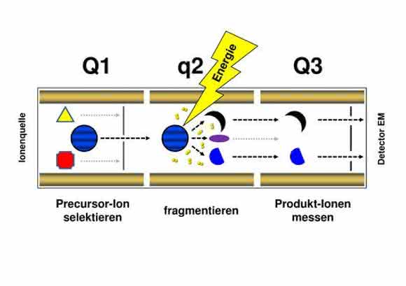 Multiple Reaction Monitoring-Technik Multiple Reaction Monitoring-Technik