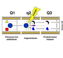 Multiple Reaction Monitoring-Technik