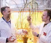 Prof. Dr. Roderich Süssmuth (links) und Daniel Petras