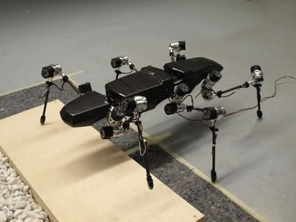 Hector (HExapod Cognitive auTonmously Operating Robot)
