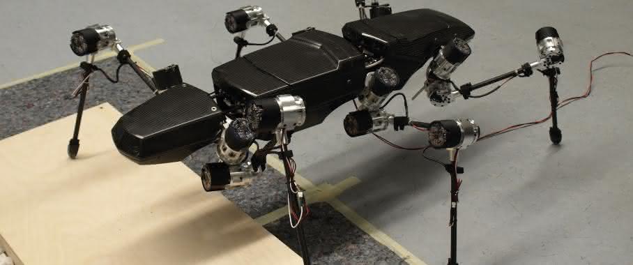 Hector (HExapod Cognitive auTonmously Operating Robot) Hector (HExapod Cognitive auTonmously Operating Robot)