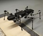 Hector (HExapod Cognitive auTonmously Operating Robot)