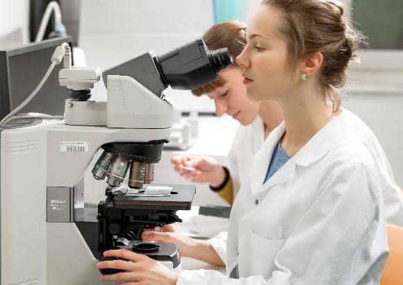 Grünes Licht für das zelluläre Selbstmordprogramm gibt es in Melanomazellen durch spezielle Cholesterinsenker wie Wiener Forscher herausgefunden haben. (Quelle: MedUni Wien / Christian Houdek)