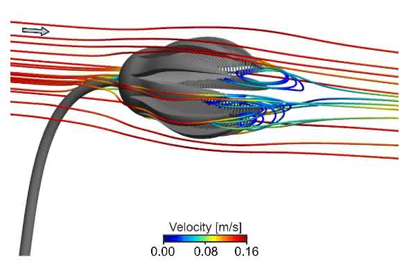 Computersimulationen: Der Transport von Plankton-Teilchen in die Filtervorrichtung des Kelchmodells wird dargestellt. (Abbildung: Dynowski et al.)