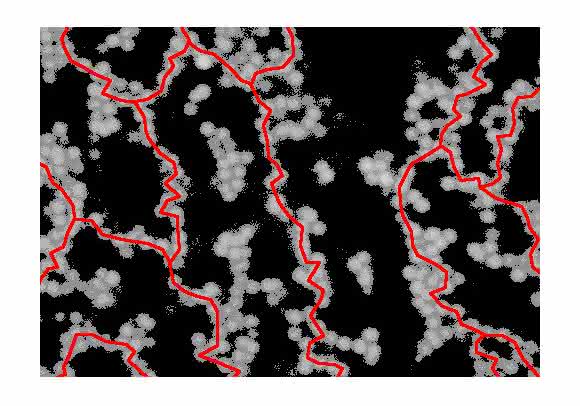 Kolloidales Gel aufgenommen mit einem Konfokalmikroskop. Die Bildung eines solchen Gels geht einher mit gerichteten Ketten aus Teilchen (hier rot illustriert), die das gesamte System durchspannen. (Bild: Ronja Capellmann / Michael Schmiedeberg)