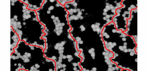 Kolloidales Gel aufgenommen mit einem Konfokalmikroskop. Die Bildung eines solchen Gels geht einher mit gerichteten Ketten aus Teilchen (hier rot illustriert), die das gesamte System durchspannen. (Bild: Ronja Capellmann / Michael Schmiedeberg) Kolloidales Gel aufgenommen mit einem Konfokalmikroskop. Die Bildung eines solchen Gels geht einher mit gerichteten Ketten aus Teilchen (hier rot illustriert), die das gesamte System durchspannen. (Bild: Ronja Capellmann / Michael Schmiedeberg)