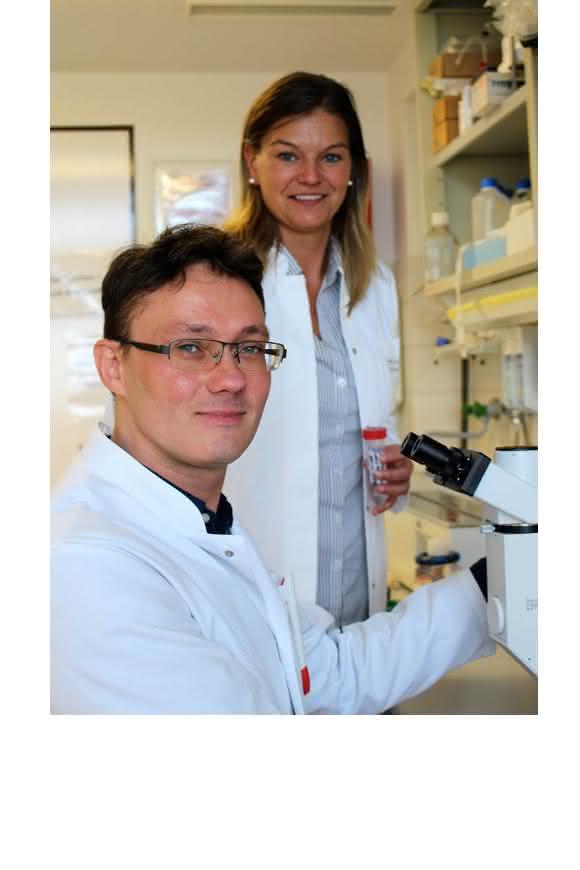 Prof. Dr. Karina Reiß (hinten) und Dr. Anselm Sommer, Exzellenzcluster Entzündungsforschung und Klinik für Dermatologie, Venerologie und Allergologie UKSH Kiel, erforschen Enzyme (Proteasen) und deren Hemmstoffe, die von Bedeutung für Entzündungskrankheiten sind. (Foto: Kerstin Nees)