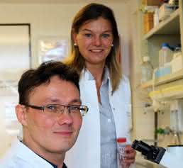 Prof. Dr. Karina Reiß (hinten) und Dr. Anselm Sommer, Exzellenzcluster Entzündungsforschung und Klinik für Dermatologie, Venerologie und Allergologie UKSH Kiel, erforschen Enzyme (Proteasen) und deren Hemmstoffe, die von Bedeutung für Entzündungskrankheiten sind. (Foto: Kerstin Nees)