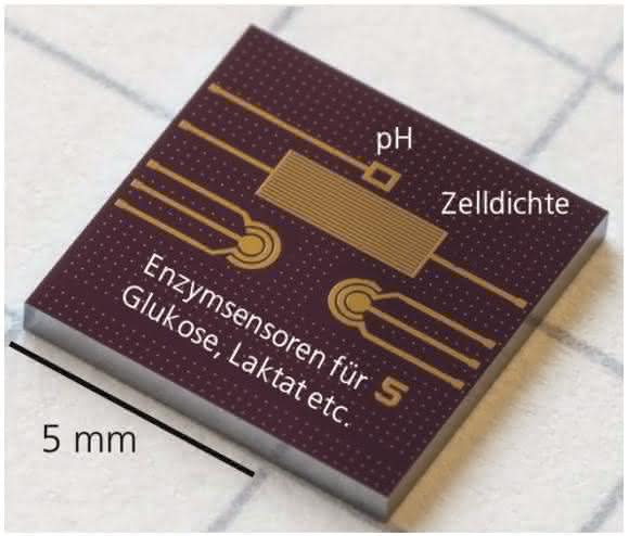 Multi-Sensor Chip (®Fraunhofer IMS) Multi-Sensor Chip (®Fraunhofer IMS)