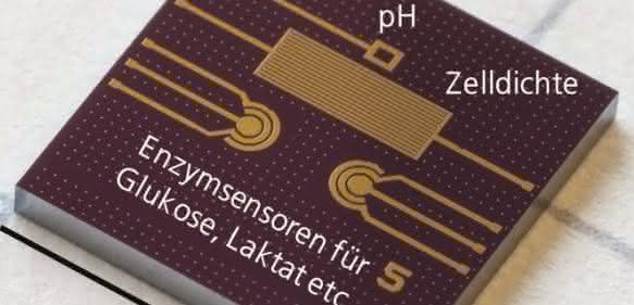 Multi-Sensor Chip (®Fraunhofer IMS)