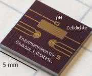Multi-Sensor Chip (®Fraunhofer IMS)