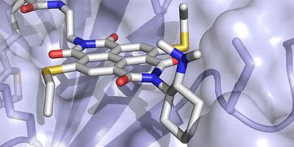 Anion-π-Enzym Anion-π-Enzym