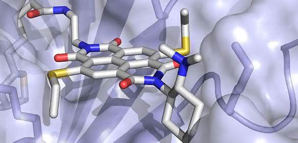 Anion-π-Enzym