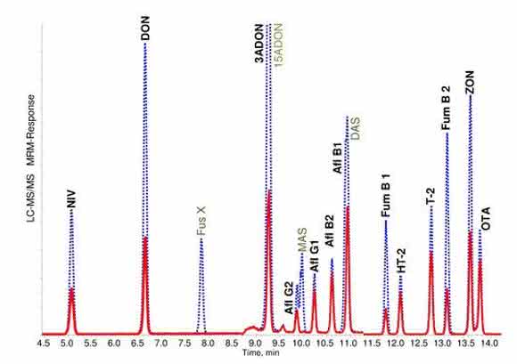 HPLC-ESI-MS/MS-Chromatogramm HPLC-ESI-MS/MS-Chromatogramm
