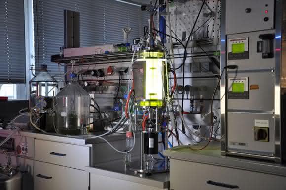 Algenfermentation Algenfermentation