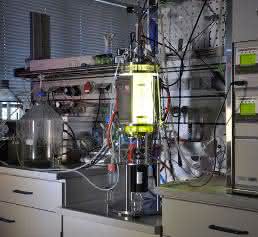Algenfermentation