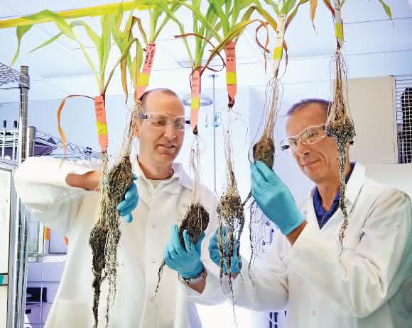 Bayer legt Angebot für Monsanto vor