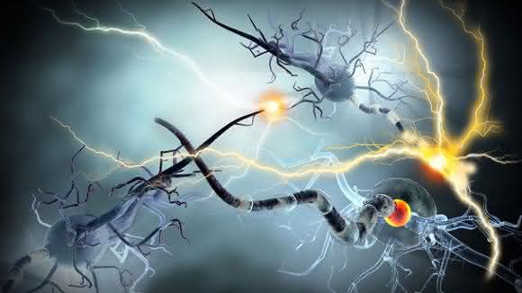 Therapeutic Behavior: Cancer Therapeutics Following Newton’s Third Law