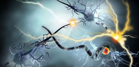 Therapeutic Behavior: Cancer Therapeutics Following Newton’s Third Law