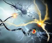 Therapeutic Behavior: Cancer Therapeutics Following Newton’s Third Law