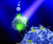 Durchflusszytometrie